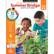 Summer Bridge Activities – Inc. Carson-Dellosa Publishing Company idegen nyelvű könyv