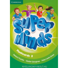 SUPER MINDS 2 FLASHCARDS nyelvkönyv, szótár