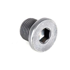 SWAG olaj leeresztő csavar 16mm,acél,motor oldali,tömítőgyűrű nélkül autóalkatrész