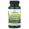 Swanson COLEUS FORSHKOLII 400 mg 60 db