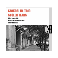  Szakcsi Jr. Trio - Stolen Tears (Vinyl LP (nagylemez)) jazz