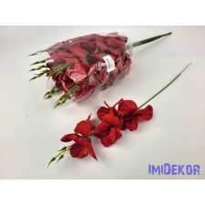  Szálas kardvirág 55 cm - Piros dekoráció