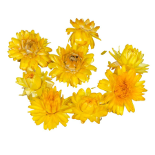  Szalmarózsa fej sárga natúr 10dkg/csom dekorációs kellék