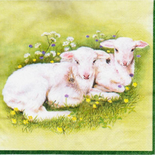  Szalvéta - bárányok a fűben papírárú, csomagoló és tárolóeszköz