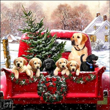  Szalvéta – Családi utazás papírárú, csomagoló és tárolóeszköz