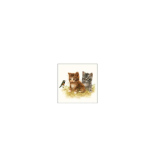 Szalvéta, Kitten friend papírárú, csomagoló és tárolóeszköz