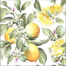  Szalvéta – Limoni papírárú, csomagoló és tárolóeszköz