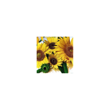  Szalvéta Napraforgók papírárú, csomagoló és tárolóeszköz
