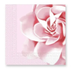  Szalvéta Rózsa 33x33cm 20db