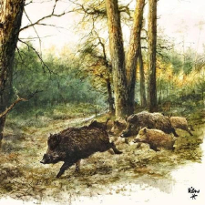  Szalvéta – Wild boars in the woods papírárú, csomagoló és tárolóeszköz