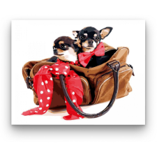 Számfestő Csivavák táskában - számfestő készlet kreatív és készségfejlesztő