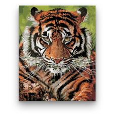 Számfestő Gyönyörű tigris - számfestő készlet kreatív és készségfejlesztő