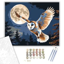 Számfestő.hu Bagoly Éjszakai Röpte - számfestő készlet – 80×100 cm (Keret nélkül) kreatív és készségfejlesztő