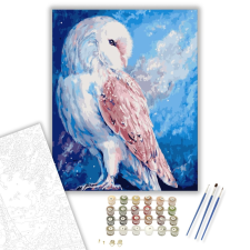 Számfestő.hu Bagoly - számfestő készlet – 40×50 cm (Keretre feszítve) kreatív és készségfejlesztő