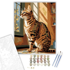 Számfestő.hu Bengáli Macska a Napsütésben - számfestő készlet – 40×50 cm (Keretre feszítve) kreatív és készségfejlesztő