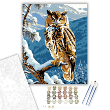 Számfestő.hu Bölcs Hegyi Bagoly - számfestő készlet – 50×60 cm (Keretre feszítve) kreatív és készségfejlesztő