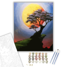 Számfestő.hu Bonsai a sziklán - számfestő készlet – 40×50 cm (Keretre feszítve) kreatív és készségfejlesztő