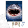 Számfestő.hu Cápa fogai - számfestő készlet – 40×50 cm (Keretre feszítve)