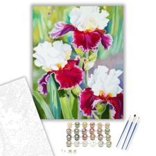 Számfestő.hu Csodás virágok - számfestő készlet – 40×50 cm (Keretre feszítve) kreatív és készségfejlesztő