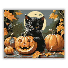 Számfestő.hu Cuki cica és Halloween tök - számfestő készlet kreatív és készségfejlesztő