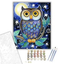 Számfestő.hu Éjszakai Bagoly - számfestő készlet – 40×50 cm (Keretre feszítve) kreatív és készségfejlesztő