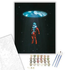 Számfestő.hu Elhagyatottan - számfestő készlet – 40×50 cm (Keretre feszítve) kreatív és készségfejlesztő