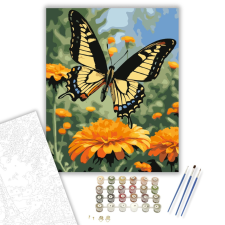 Számfestő.hu Fecskefarkú Lepke Bársonyvirágon - számfestő készlet – 40×50 cm (Keretre feszítve) kreatív és készségfejlesztő