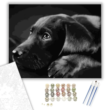Számfestő.hu Fekete Labrador - számfestő készlet – 80×100 cm (Keretre feszítve) kreatív és készségfejlesztő