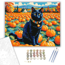 Számfestő.hu Fekete macska a tökmezőn - számfestő készlet – 40×50 cm (Keretre feszítve) kreatív és készségfejlesztő