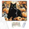 Számfestő.hu Fekete macska tökök között - számfestő készlet – 40×50 cm (Keretre feszítve)