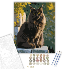 Számfestő.hu Fekete Maine Coon Kőfalon - számfestő készlet – 40×50 cm (Keretre feszítve) kreatív és készségfejlesztő