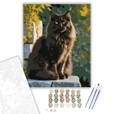 Számfestő.hu Fekete Maine Coon Kőfalon - számfestő készlet – 80×100 cm (Keretre feszítve) kreatív és készségfejlesztő