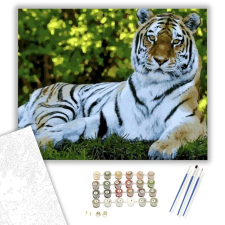 Számfestő.hu Fekvő tigris - számfestő készlet – 80×100 cm (Keretre feszítve) kreatív és készségfejlesztő