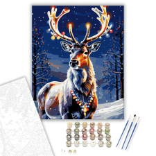 Számfestő.hu Fénylő Téli Csodák - számfestő készlet – 40×50 cm (Keretre feszítve) kreatív és készségfejlesztő