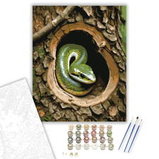 Számfestő.hu Fiatal Kígyó a Fában - számfestő készlet – 40×50 cm (Keretre feszítve) kreatív és készségfejlesztő
