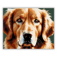 Számfestő.hu Golden Retriever Arcközelben - számfestő készlet kreatív és készségfejlesztő