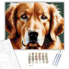 Számfestő.hu Golden Retriever Arcközelben - számfestő készlet – 80×100 cm (Keretre feszítve) kreatív és készségfejlesztő