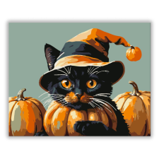 Számfestő.hu Halloweeni Varázslat - számfestő készlet kreatív és készségfejlesztő