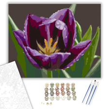 Számfestő.hu Harmatcseppes Lila Tulipán - számfestő készlet – 40×50 cm (Keretre feszítve) kreatív és készségfejlesztő