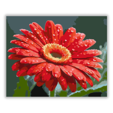 Számfestő.hu Harmatcseppes Vörös Gerbera - számfestő készlet kreatív és készségfejlesztő