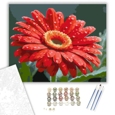 Számfestő.hu Harmatcseppes Vörös Gerbera - számfestő készlet – 80×100 cm (Keretre feszítve) kreatív és készségfejlesztő