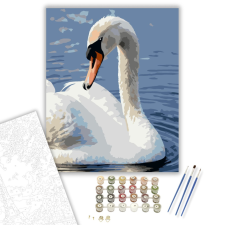 Számfestő.hu Hattyú a Hullámzó Vízfelszínen - számfestő készlet – 40×50 cm (Keretre feszítve) kreatív és készségfejlesztő