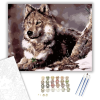 Számfestő.hu Havas farkas - számfestő készlet – 40×50 cm (Keretre feszítve)