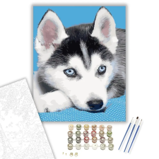 Számfestő.hu Husky kölyök - számfestő készlet – 50×60 cm (Keretre feszítve) kreatív és készségfejlesztő