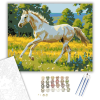 Számfestő.hu Játékos Csikó a Vadvirágos Rétben - számfestő készlet – 40×50 cm (Keretre feszítve)