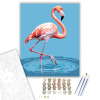 Számfestő.hu Kecses Flamingó a Sekély Vízben - számfestő készlet – 40×50 cm (Keretre feszítve)