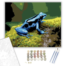 Számfestő.hu Kék Nyílméregbéka Mohás Kövön - számfestő készlet – 60×70 cm (Keretre feszítve) kreatív és készségfejlesztő