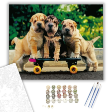 Számfestő.hu Kiskutyák gördeszkán - számfestő készlet – 40×50 cm (Keretre feszítve) kreatív és készségfejlesztő