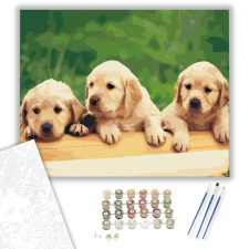 Számfestő.hu Kiskutyák - számfestő készlet – 40×50 cm (Keretre feszítve) kreatív és készségfejlesztő