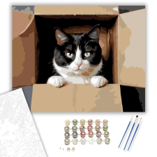Számfestő.hu Kíváncsi Tuxedo Macska Dobozban - számfestő készlet – 40×50 cm (Keretre feszítve) kreatív és készségfejlesztő